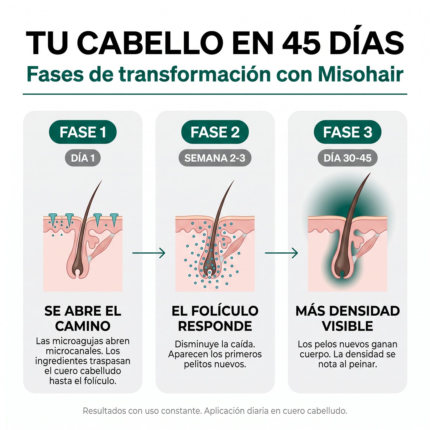 Misohair - Revitalizador Capilar Coreano